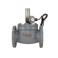 PNV GV25 2.5 inch tolen gas valve