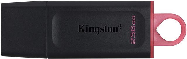 MEM UFD 256GB DTX KIN